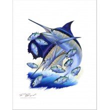 "Bonito" Blue Marlin Sailfish